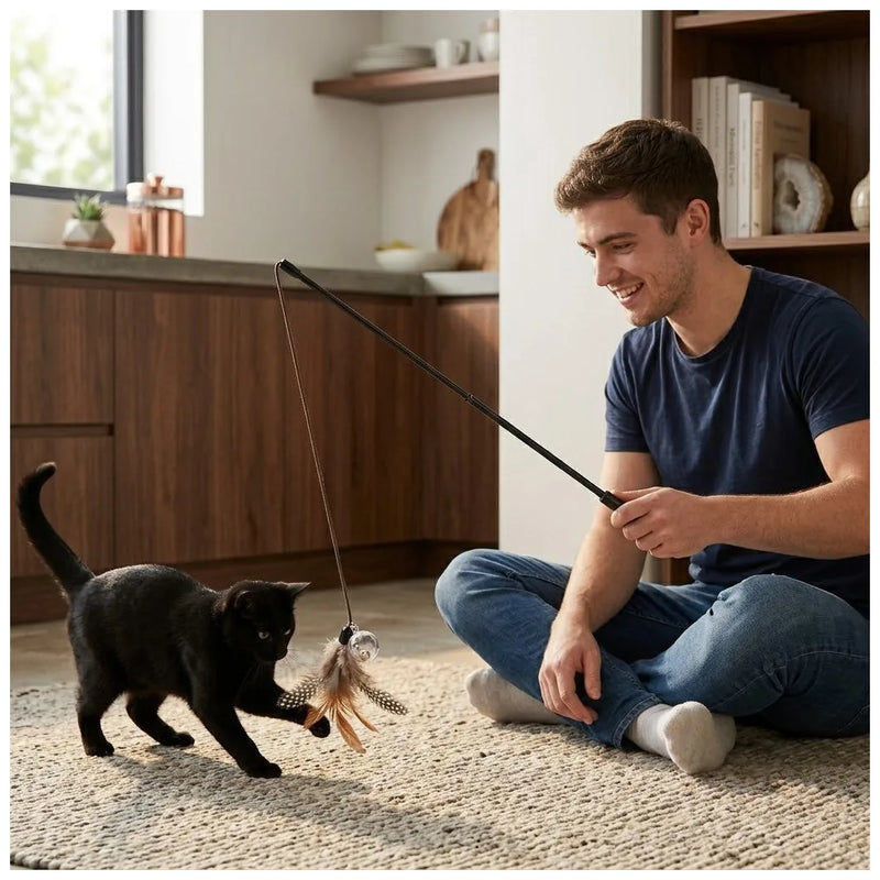 Cat Tease Toy Plastic Stick With Ball Assorted Colours