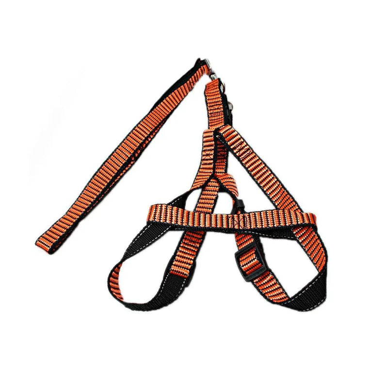 Pet Dog Leash With Harkness Assorted Colours