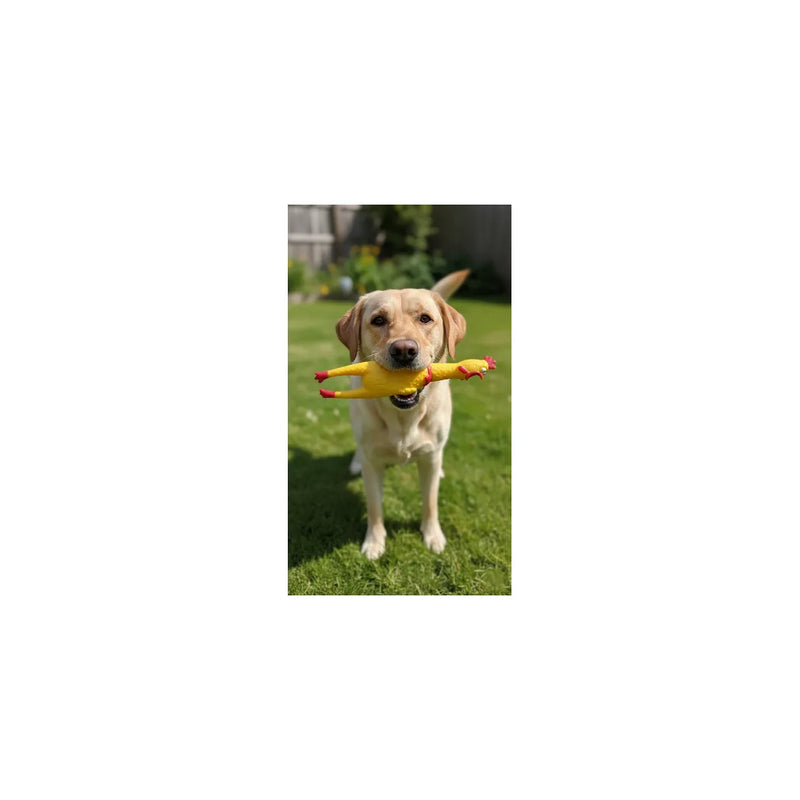 Pet Dog Toy Squeaky Chicken