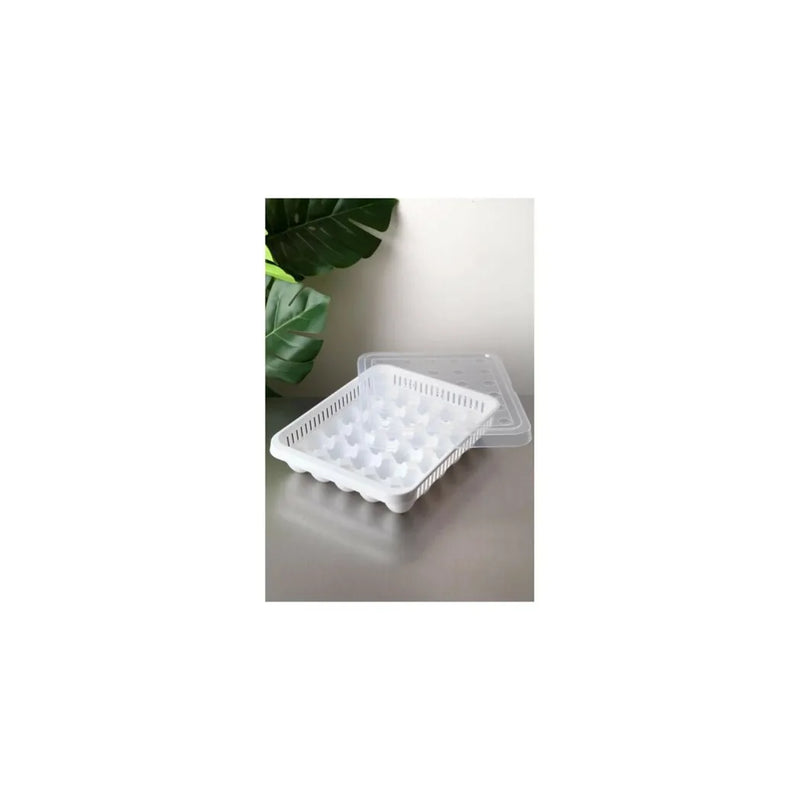 Plastic Egg Storage Container Bo x 30 Eggs