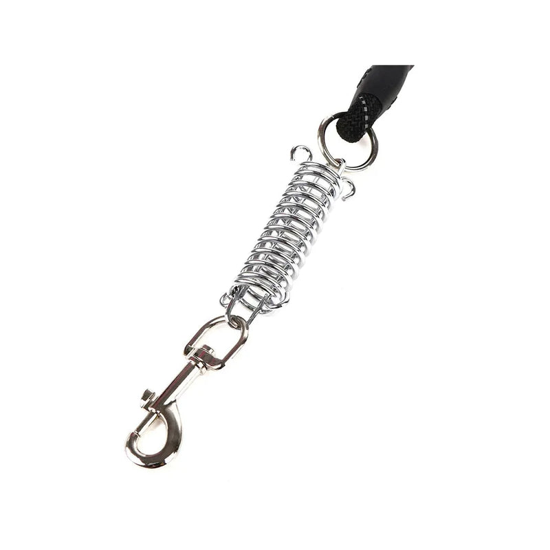 Dog Leash Lead Rope Foam Grip Steel Spring Buckle Clip Assorted Colours