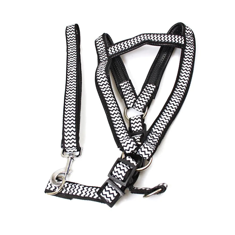Dog Leash Lead With Harness Printed Design Assorted Designs
