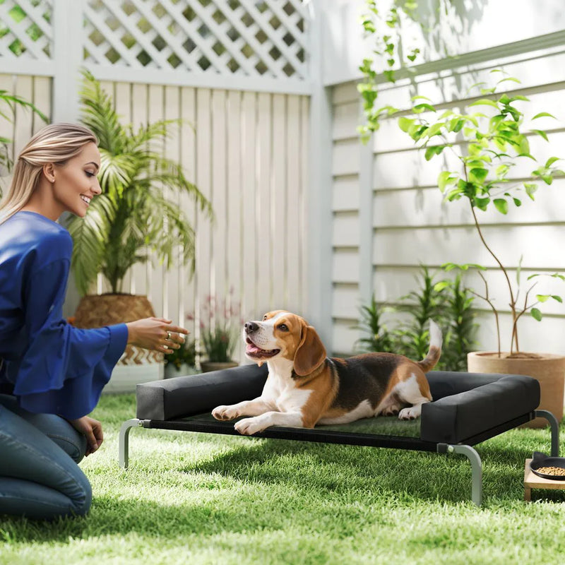 PawHut Elevated Dog Bed with Removable Bolsters, Raised Dog Bed for Medium Breeds, Portable Indoor & Outdoor Pet Cots, Black