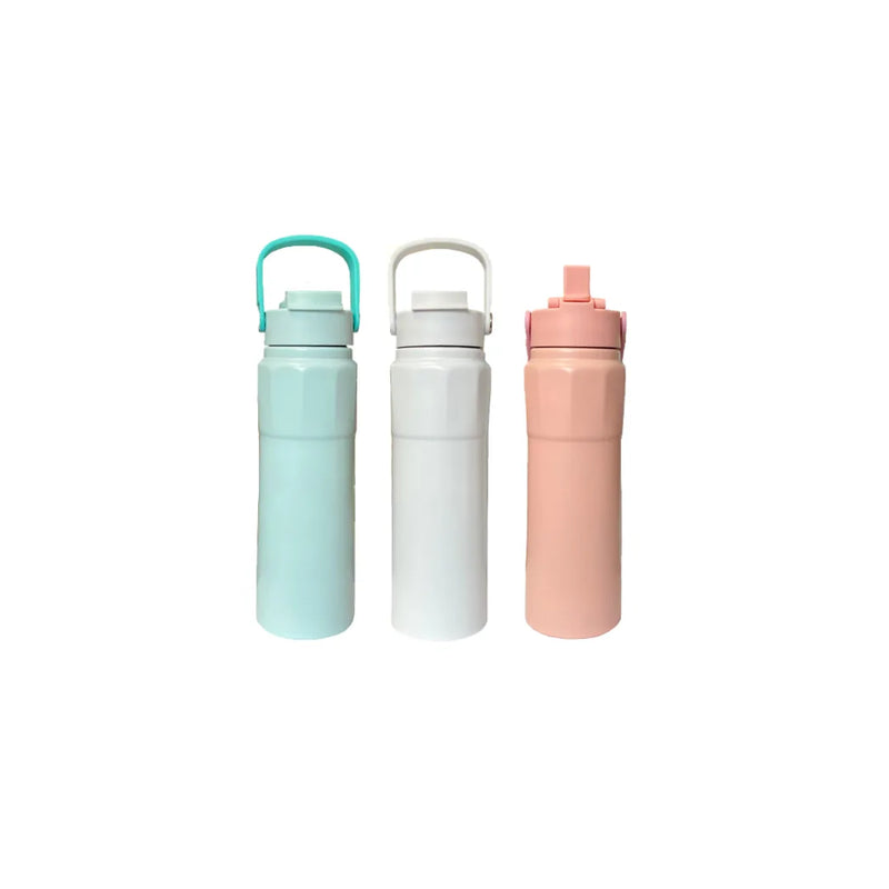 Stainless Steel Water Drinking Travel Thermos Flask Tumbler With Handle 750Ml Assorted Colours