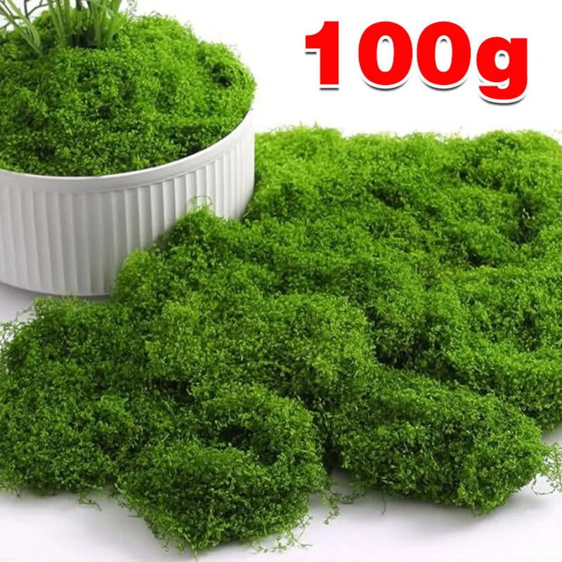 100g Artificial Green Moss Micro Landscape Fake Moss Garden Crafts Home Decor UK