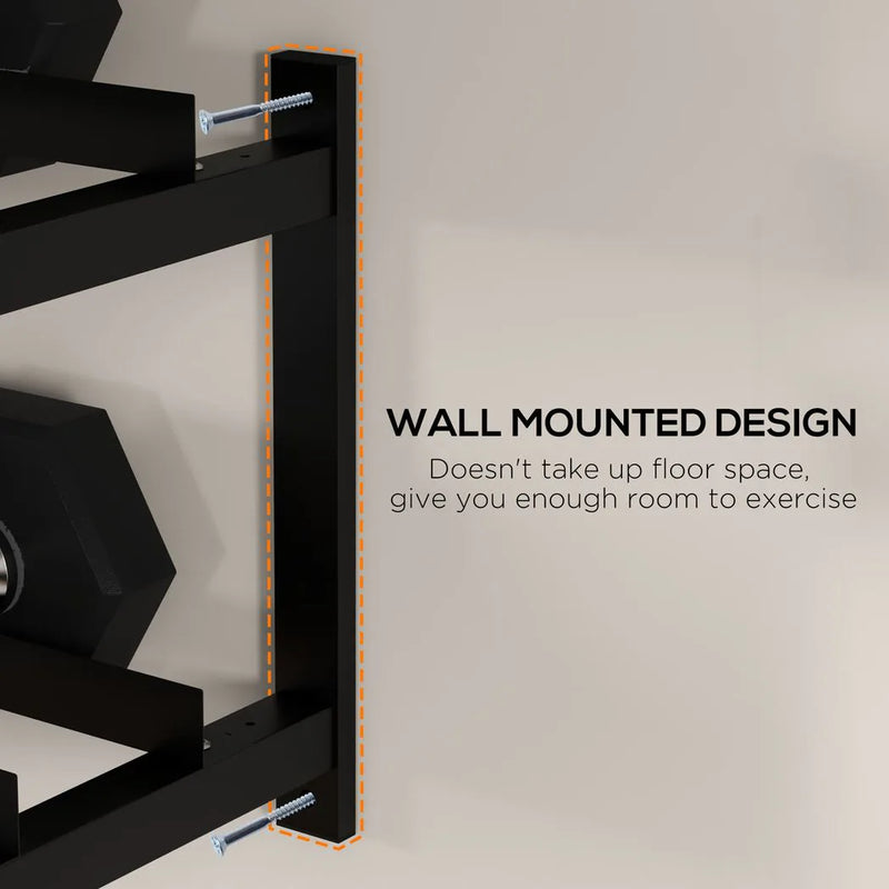 SPORTNOW Wall-Mounted Dumbbell Rack, 2-Tier Weight Stand, Space-Saving and Multi-Functional Steel organiser for Home Gym, Black