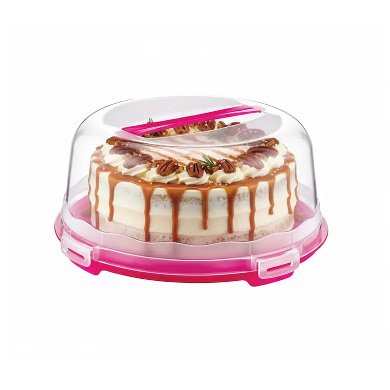 Plastic Cake Pastry Carry Storage Bo x With Cover Assorted Colours