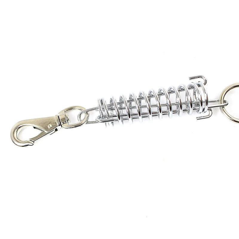 Pet Dog Leash Lead With Spring Buckle Clip Assorted Colours