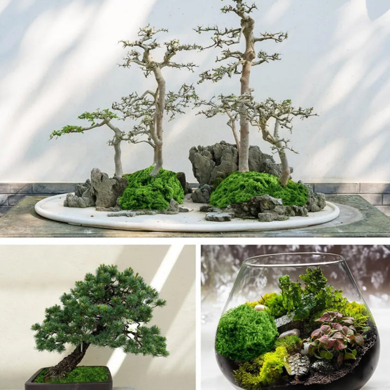 100g Artificial Green Moss Micro Landscape Fake Moss Garden Crafts Home Decor UK