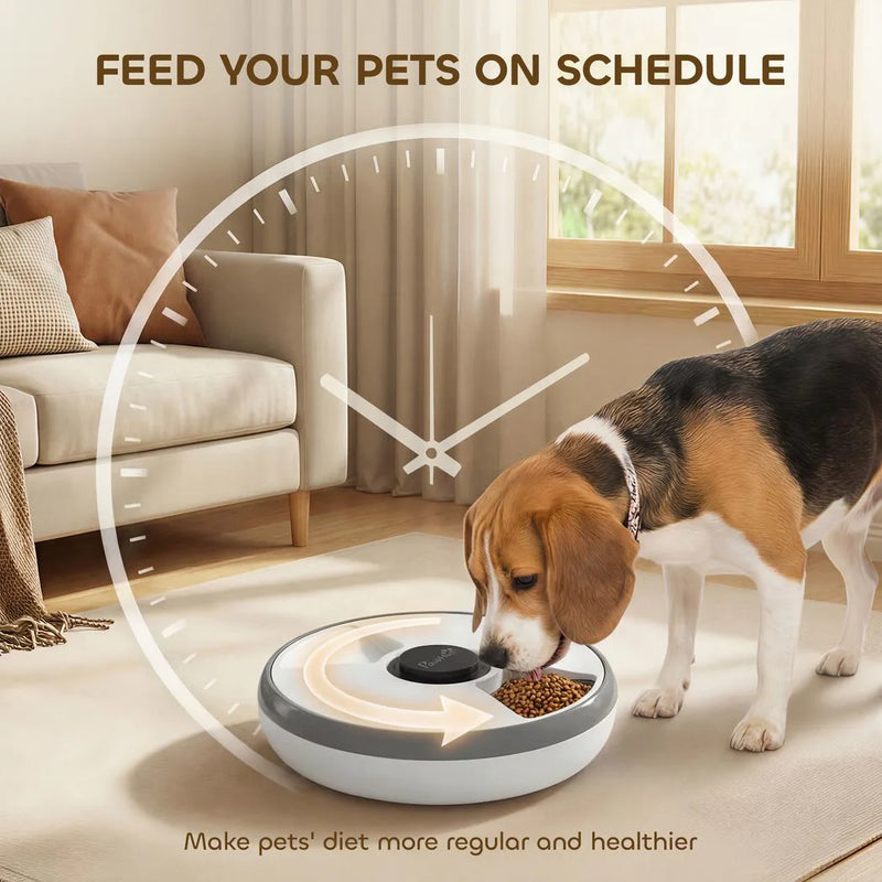 PawHut Automatic Cat Feeder Programmable Timer for Dry Wet Food Cat Food Dispenser with Ice Pack for 6 Meals