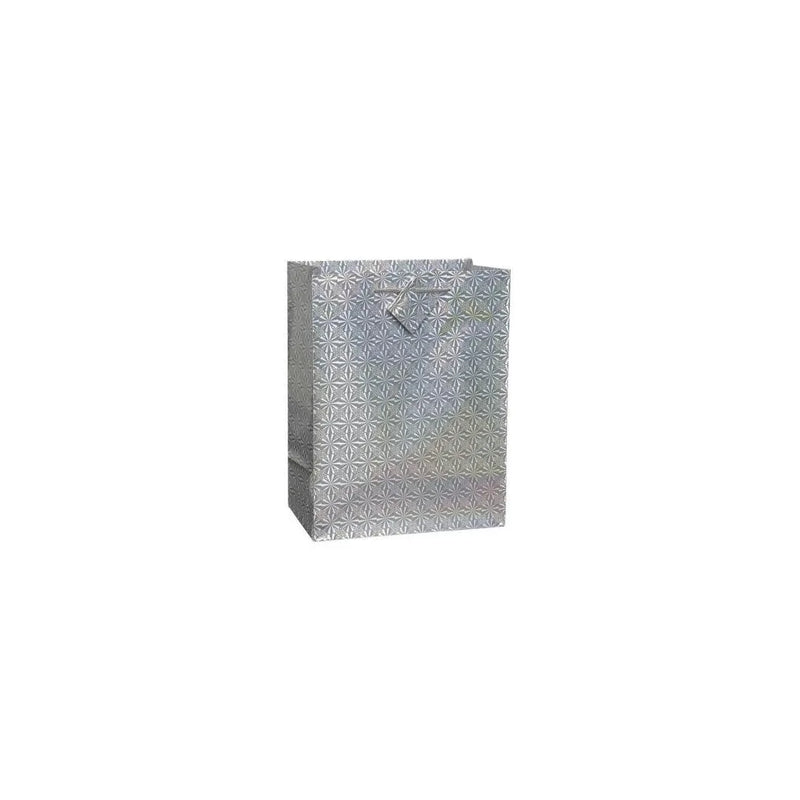 Assorted Colour Holographic Party Birthday Gift Bags
