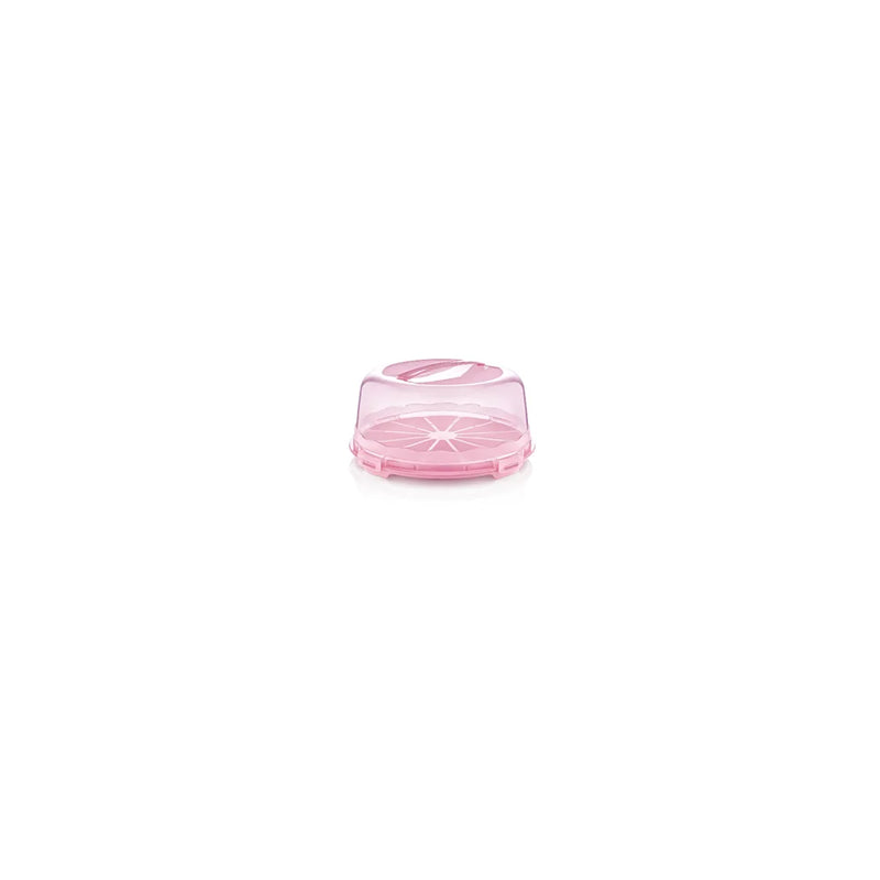 Plastic Cake Pastry Carry Storage Bo x With Cover Assorted Colours