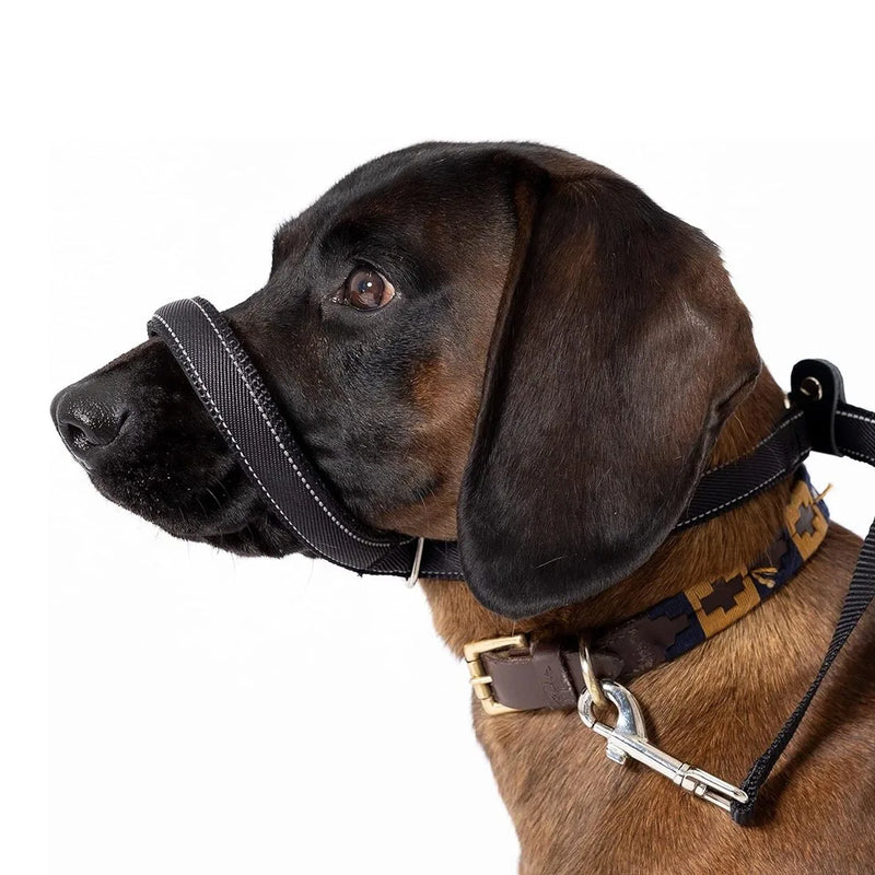 Integrated Anti-Bite Muzzle & Leash for Dogs / Dog Lead + Waste Bag Dispenser