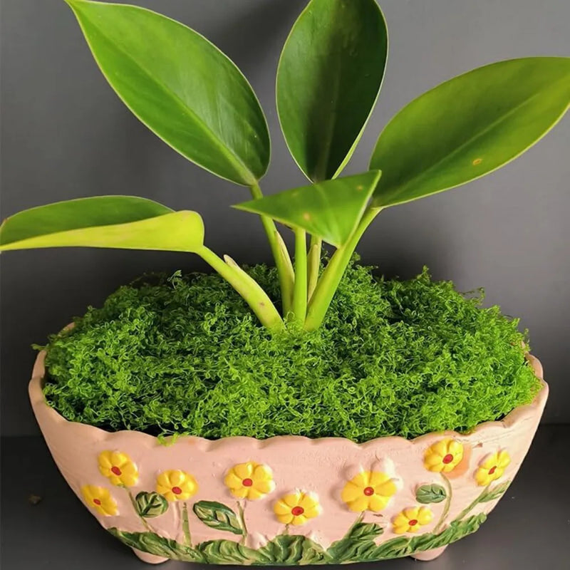 100g Artificial Green Moss Micro Landscape Fake Moss Garden Crafts Home Decor UK