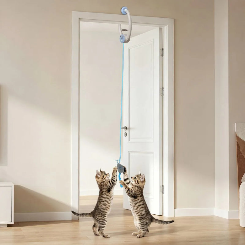 PawHut Interactive Cat Toys for Indoor Kittens & Adult USB Rechargeable Door Hanging Bouncing Mouse Teaser