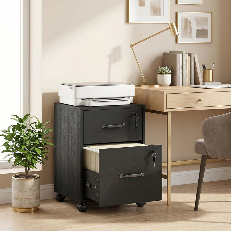 HOMCOM Rolling File Cabinet with 2 Drawers, Mobile Filing Cabinet with Hanging File Folder for Letter Sized Documents, Black