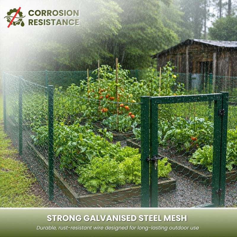 5m Green PVC Coated Chicken Wire Mesh Roll with Fixings