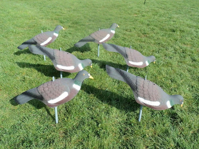 6 High Definition Pigeon Decoys with Ground Stakes