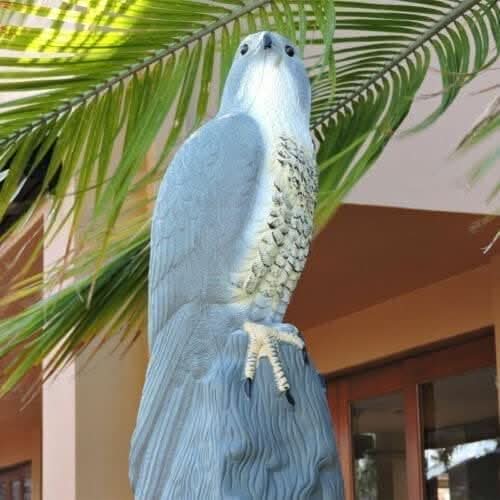Multicoloured Realistic Falcon Bird Deterrent Garden Ornament