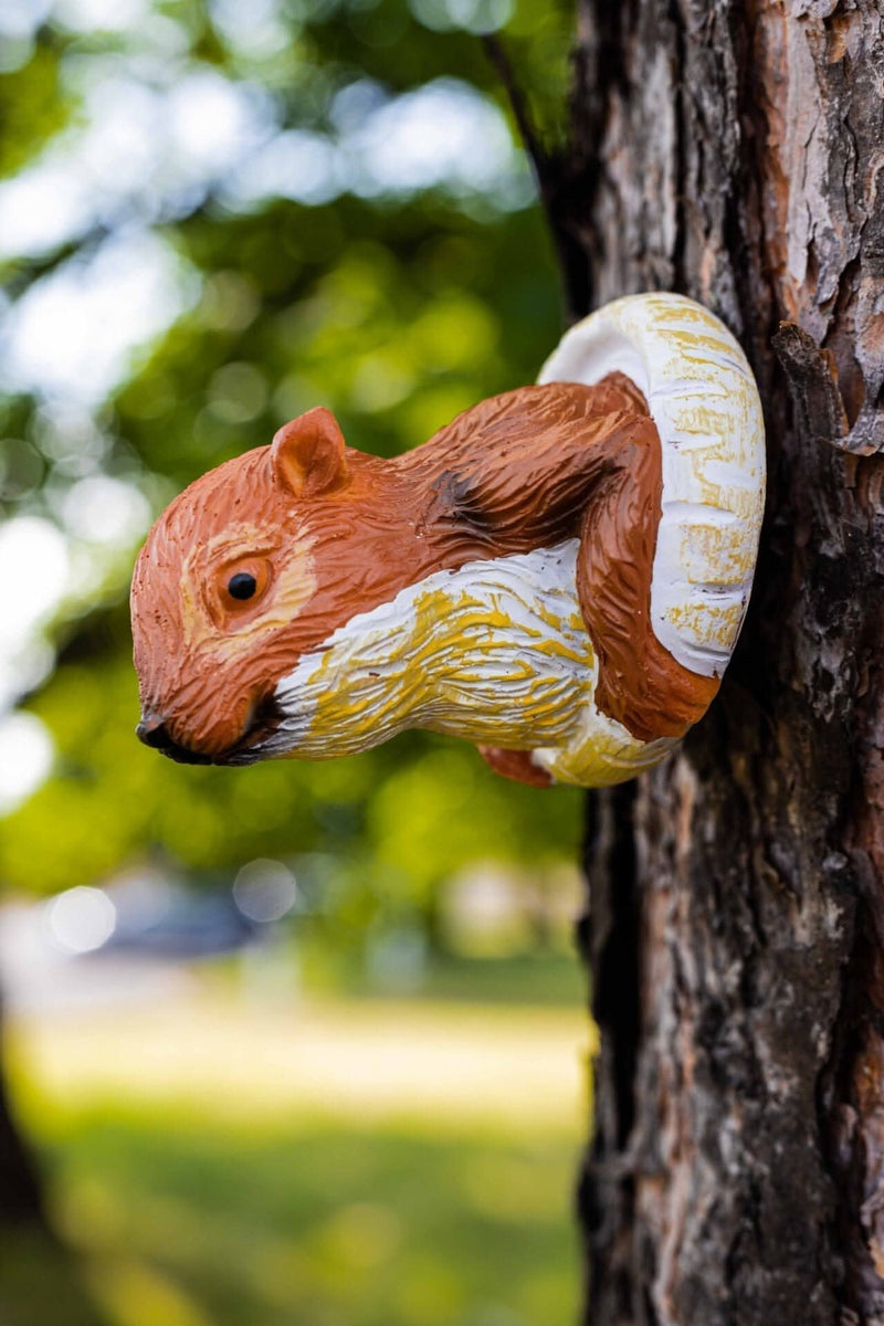 Novelty Red Squirrel Tree Peeker Garden Ornament