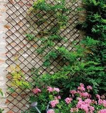 180cm x 90cm Expandable Wooden Garden Trellis Panel