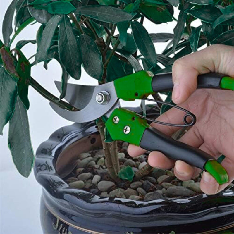 Carbon Steel Bypass Secateurs with Soft Grip Pruning Handles