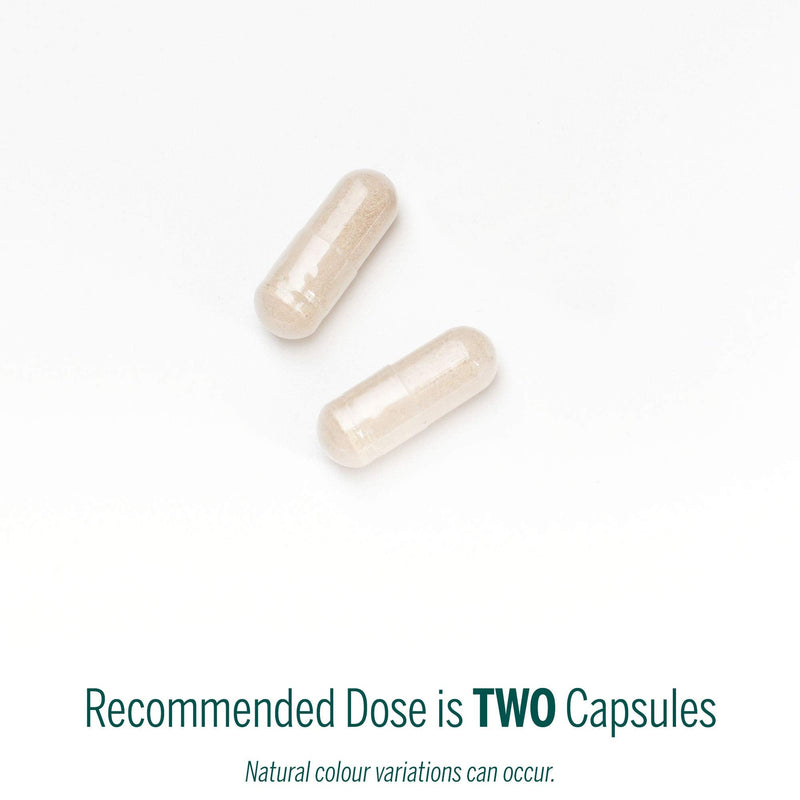 Genestra Ichol Plus Digestive Supplement – 90 Capsules | Genestra Brands