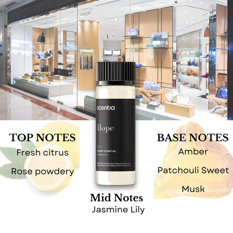 Perfume-Inspired Essential Oil Set – 3×20ml Diffuser Oils