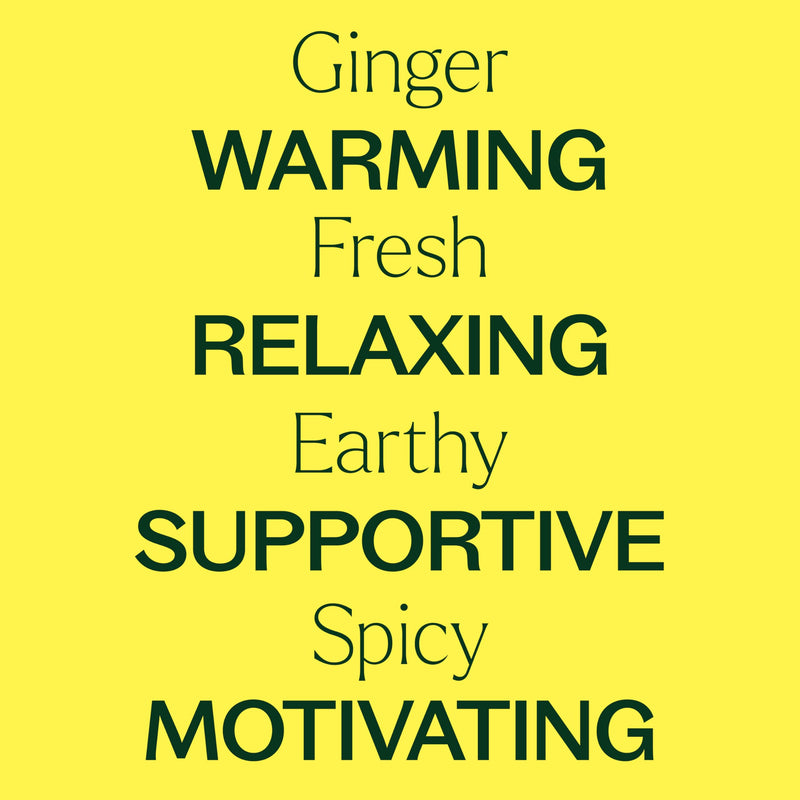 Plant Therapy Ginger Steam Distilled Essential Oil 10 mL (1/3 oz) 100% Pure, Undiluted, Natural Aromatherapy