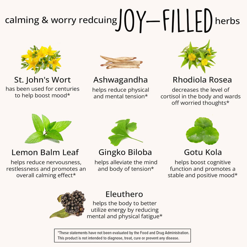 Joy-Filled Mood Support - 7-Herb Complex with St. John's Wort | Plant-Based Stress Relief | 60 Ct