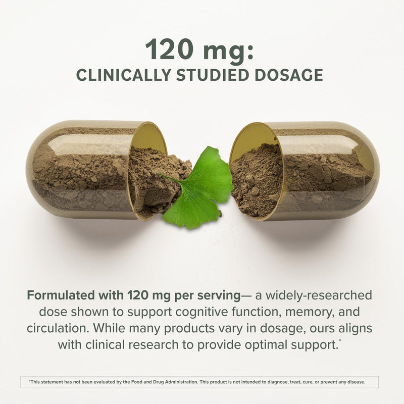 Prominent Ginkgo Biloba 120mg - Memory & Focus Support | Vegan, Non-GMO | 2-Pack