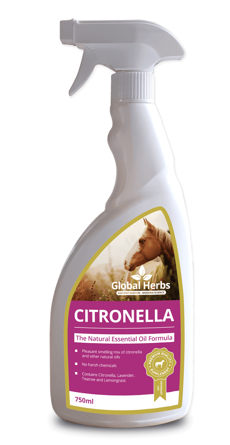 Global H Citronella Spray 750ml