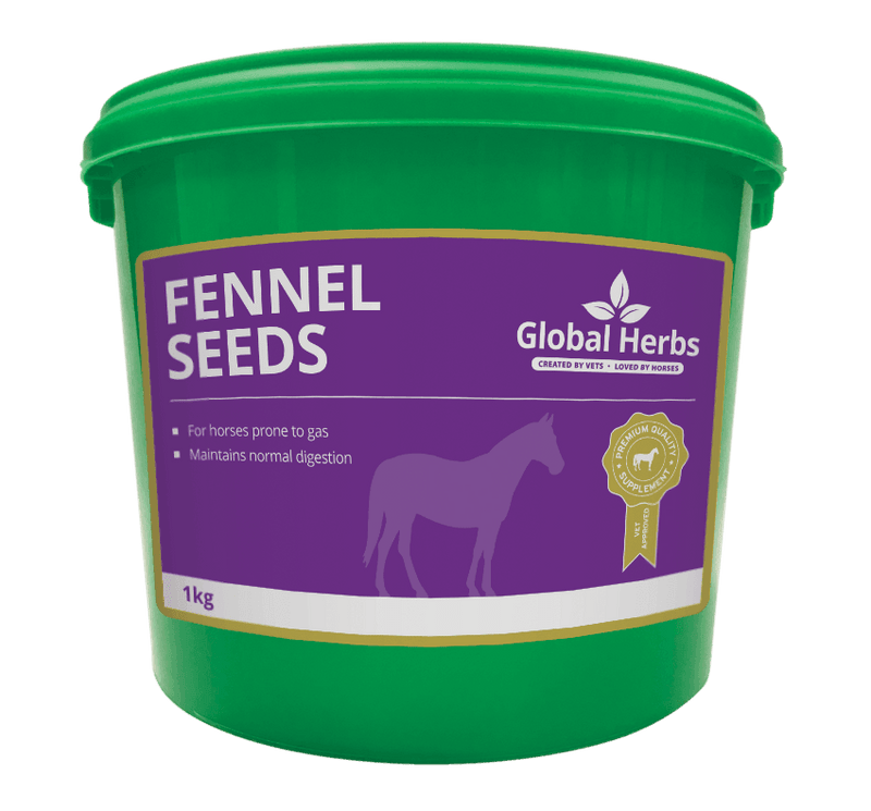 Global H Fennel