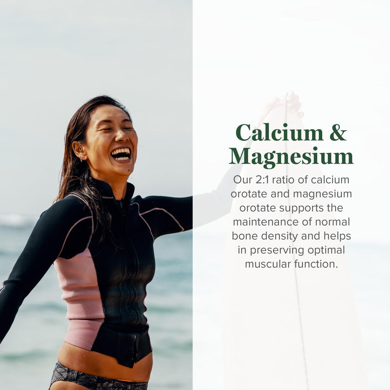Global Healing Calcium and Magnesium Orotate - Bone Strength Supplement for Women and Men - Helps Support Strong Teeth and Cardiovascular Health for Normal Muscle Function - 120 Capsules