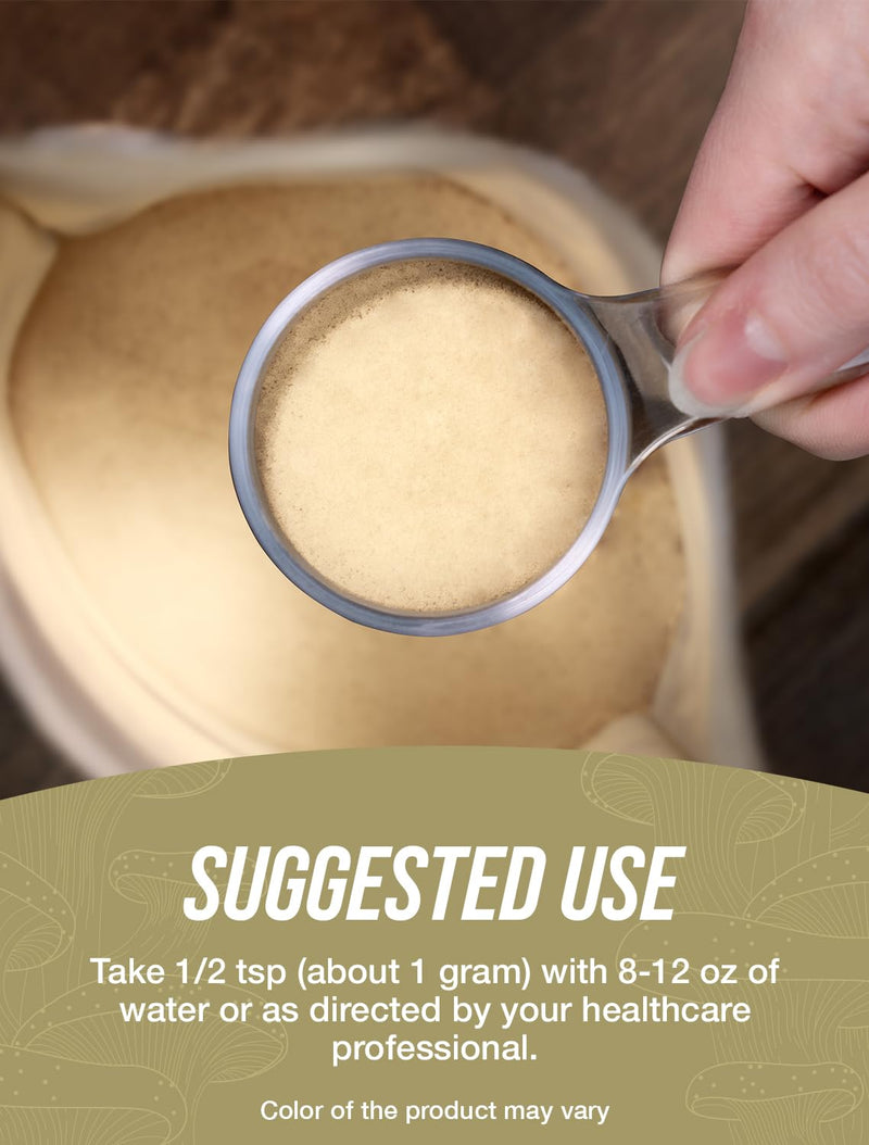 Reishi Mushroom Extract Powder – 500g (1g/Serving) – Gluten Free | BulkSupplements