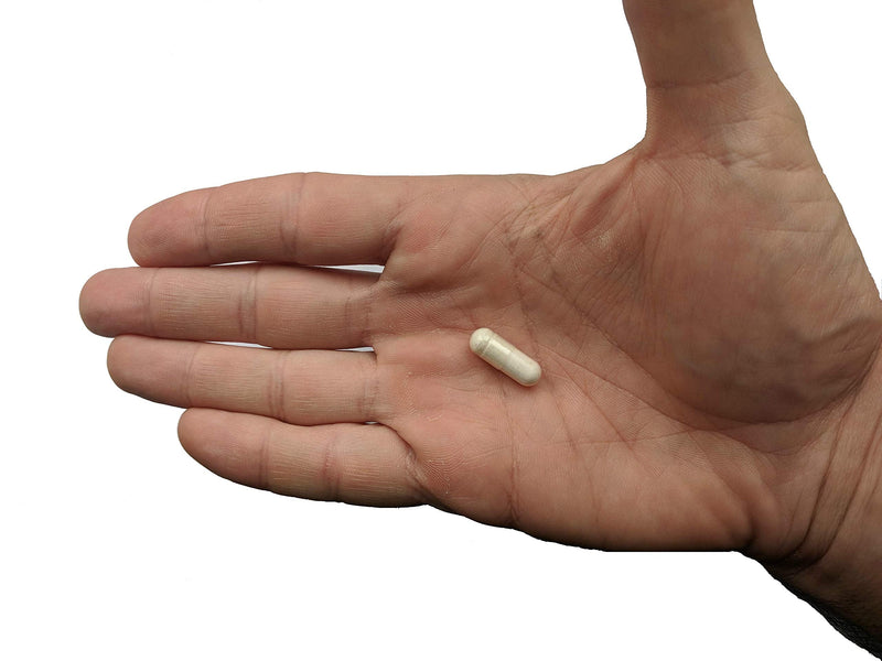 Premium Probiotic + Ultimate Prebiotic – Gut Biome Builder (4.4B CFU, Bacillus Subtilis)