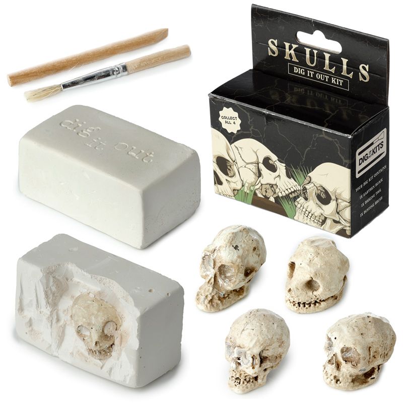 Gothic Gifts Skull Dig It Out Kit