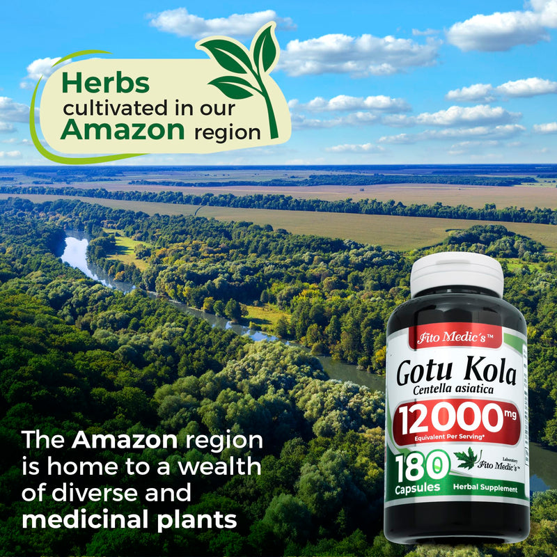 FITO MEDIC'S Lab Gotu Kola (Centella Asiatica) - 180 Capsules | Ultra High Absorption