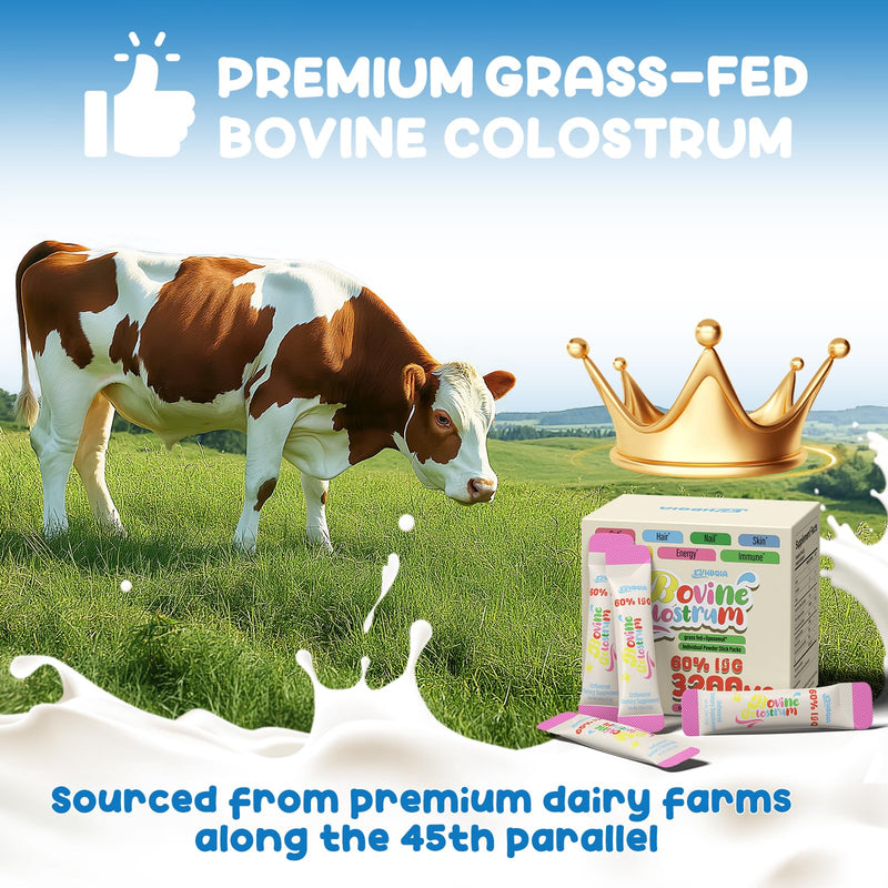 Colostrum Supplement Powder – Grass-Fed Bovine, 60% IgG | Immune, Gut Health & Beauty