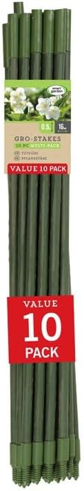 Extendable Plant Support Stakes 90cm 10 Pack Garden Canes