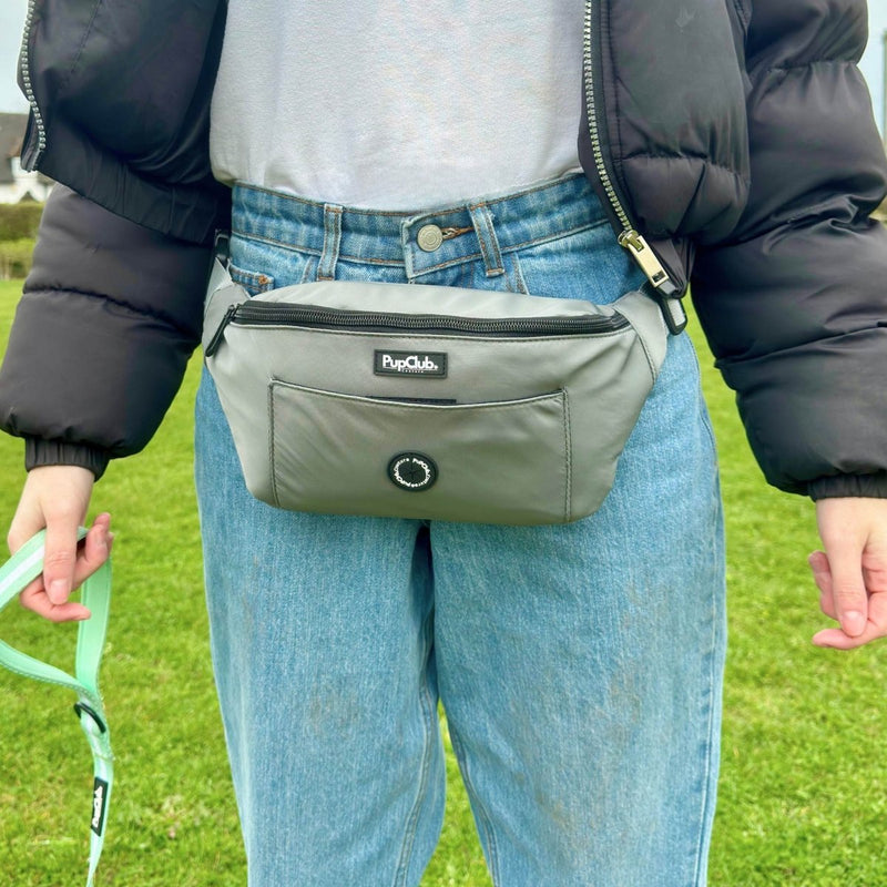 PupClub Dog Dog Walking Bum Bag - Grey