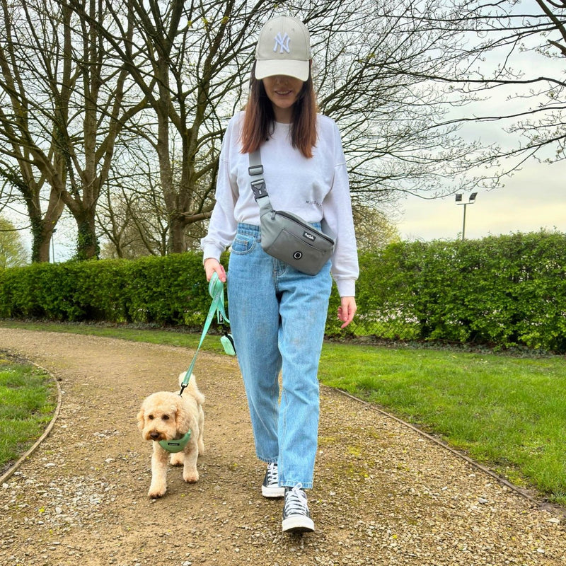 PupClub Dog Dog Walking Bum Bag - Grey