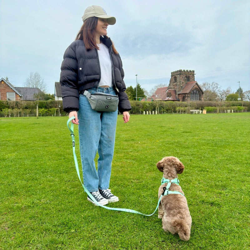 PupClub Dog Dog Walking Bum Bag - Grey