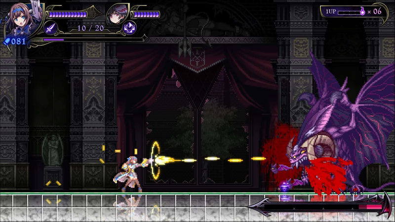 Grim Guardians Demon Purge Nintendo Switch