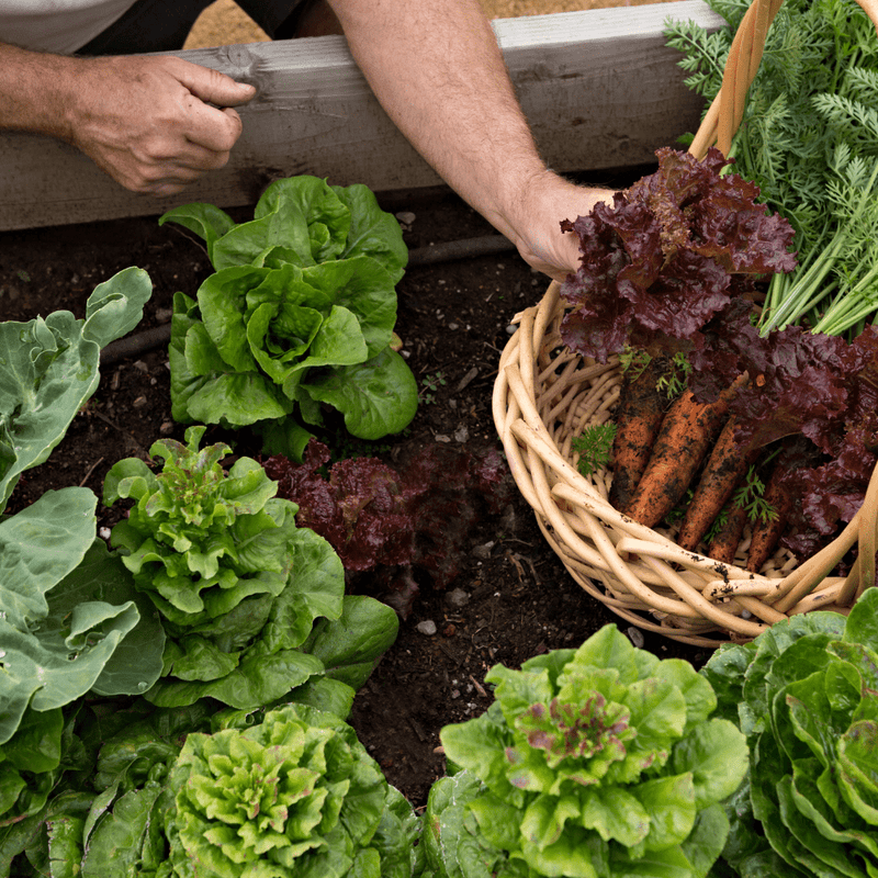 Allotment Pack Special Offer - Topsoil, Compost, Grit and Membrane