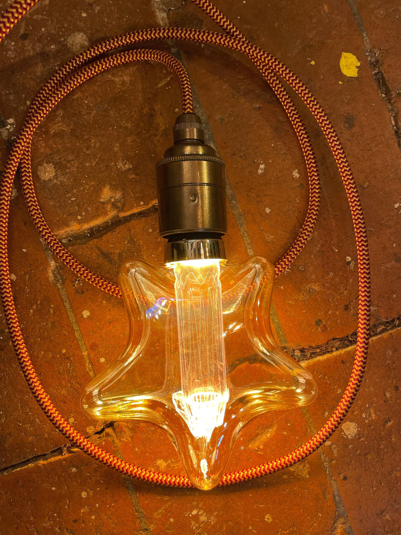 Gryffindor Plug in Pendant Cable Set