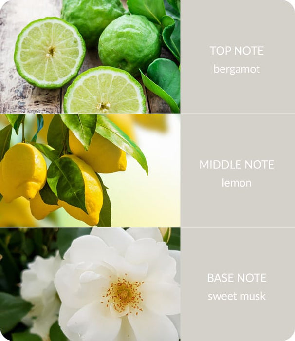 Guardian Angel Soy Wax Melt - Up To 12 Hours Burn Use With Wax Warmer