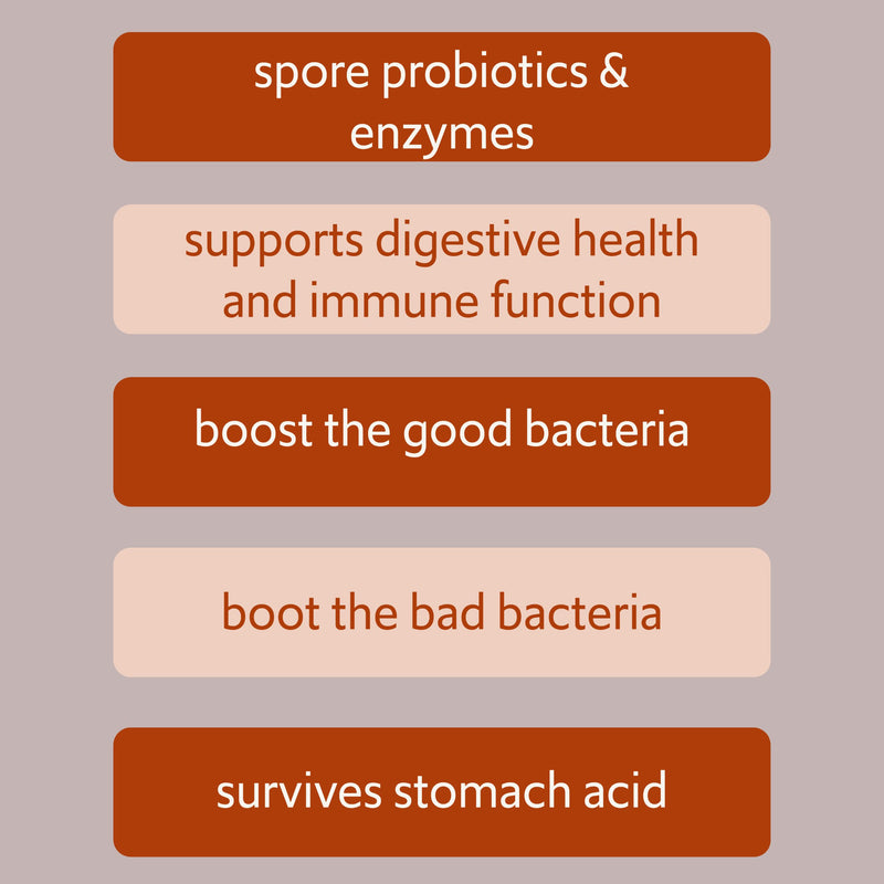 New Bacillus B3 Probiotic Complex & Enzymes – 60 Capsules (100% Spore-Based SBO)