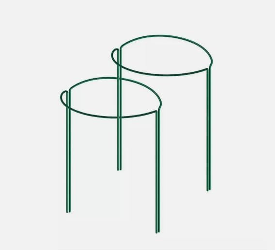 Plant Support Stakes 3 Pack Half Round Metal