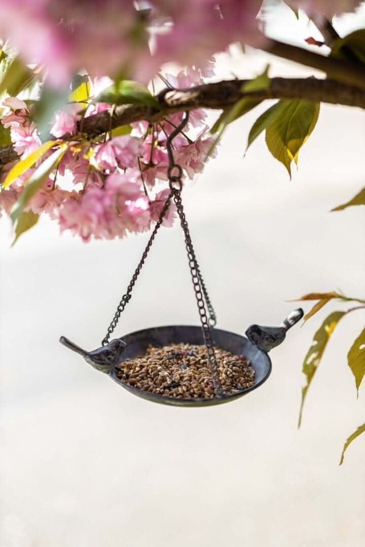 Hanging Metal Bird Bath and Feeding Station
